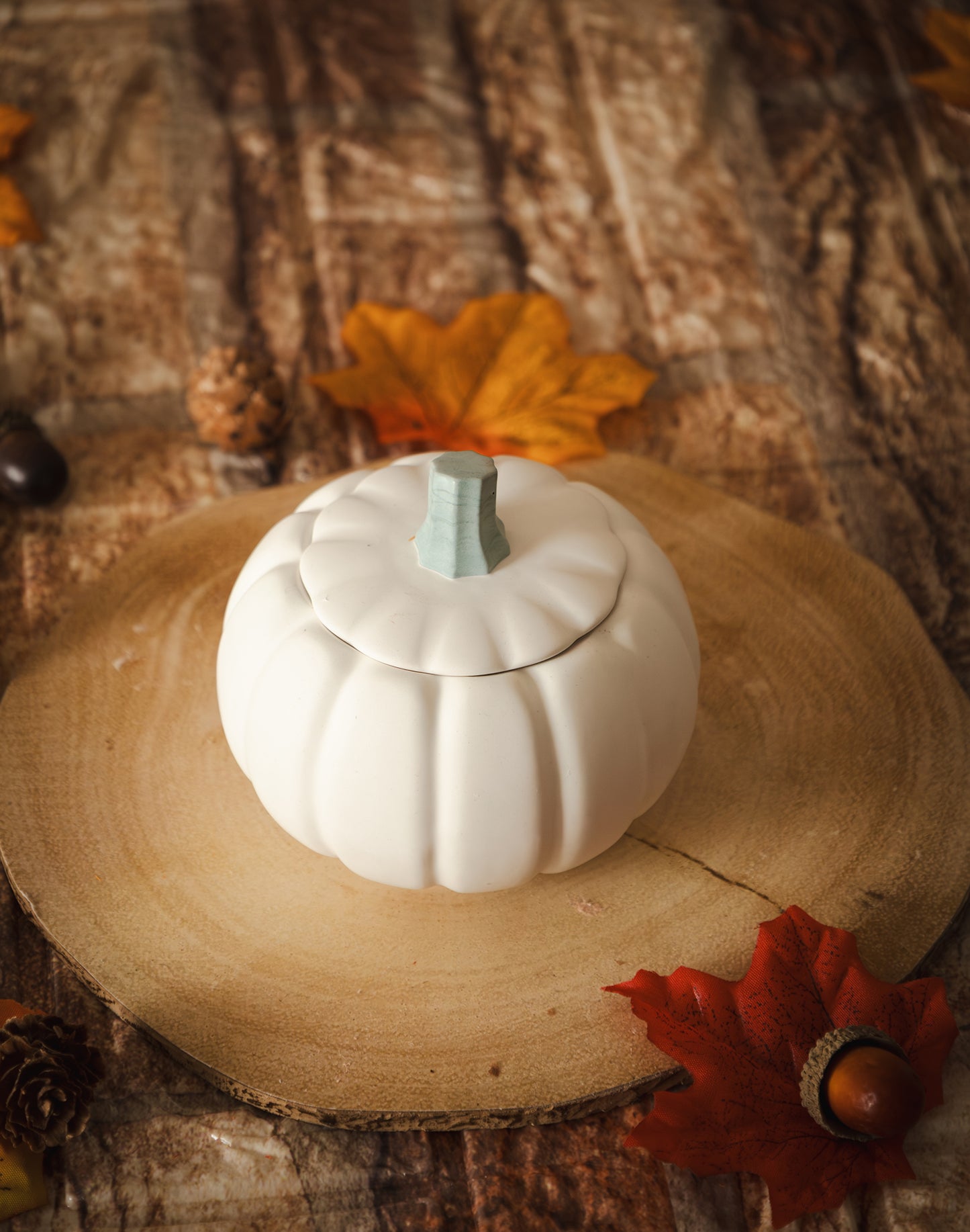 Fall in Pumpkin2