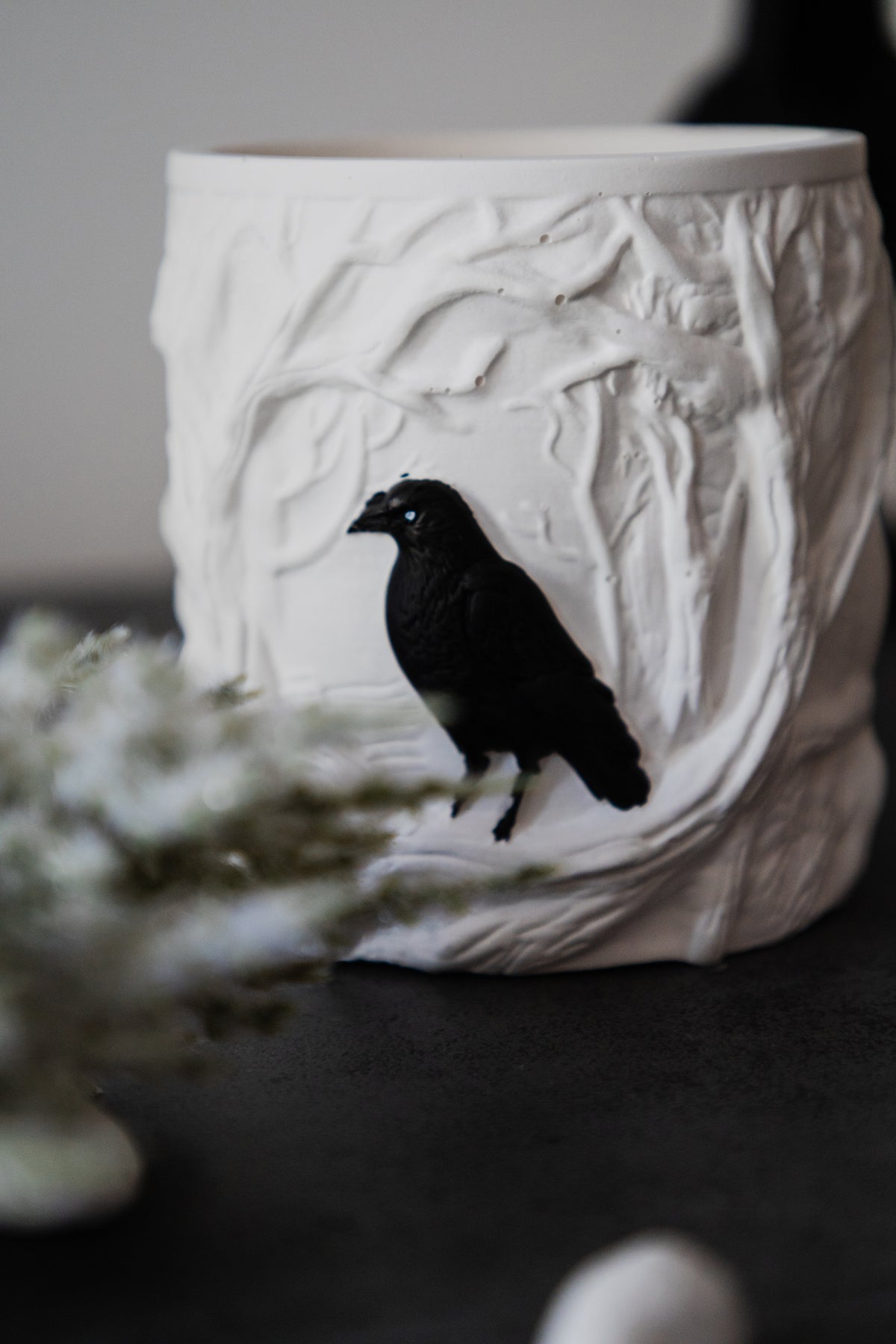 Whispers of the Raven