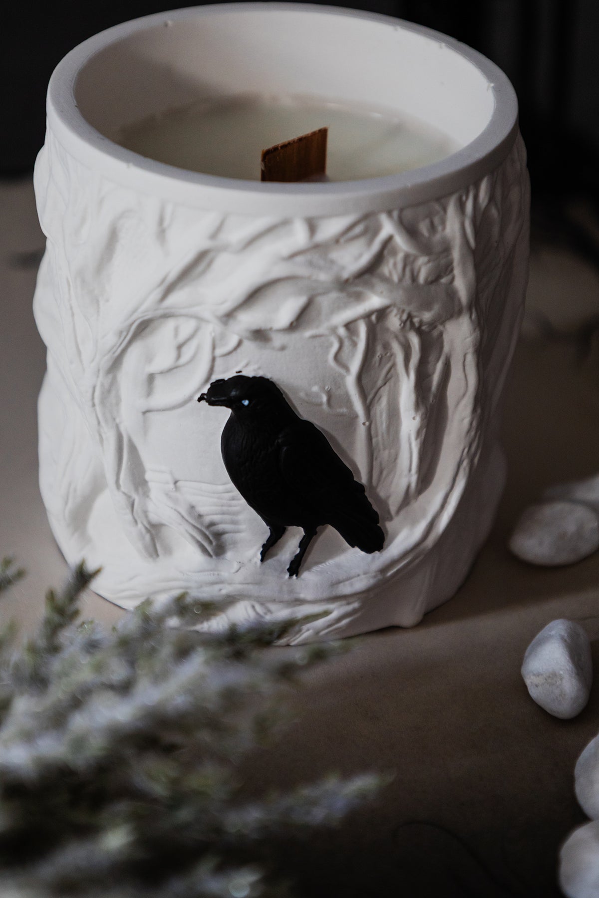 Whispers of the Raven
