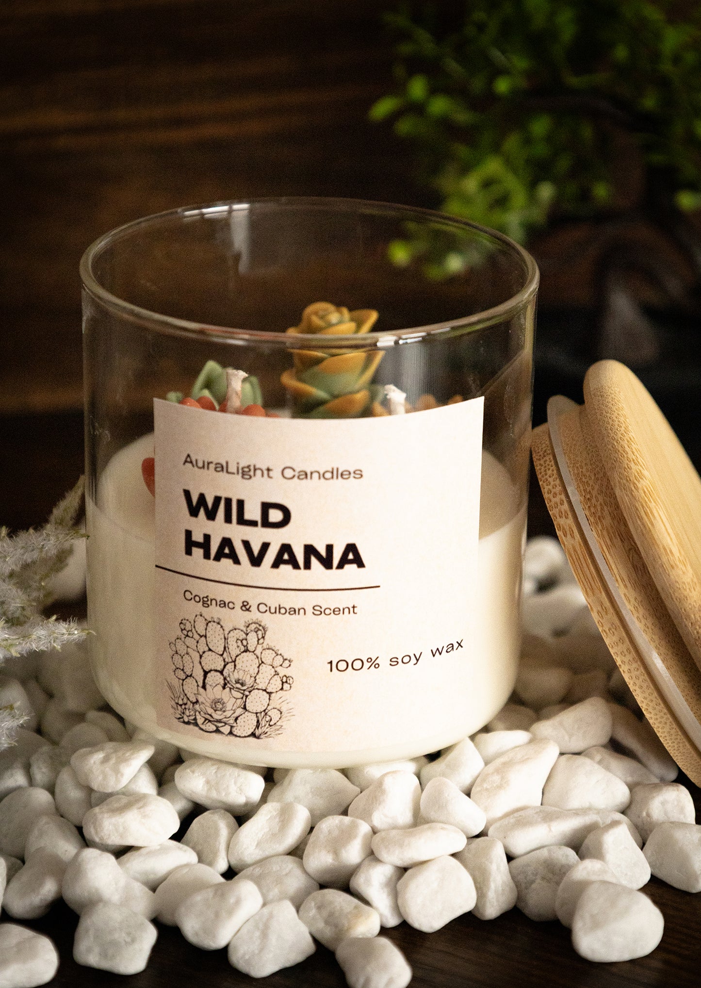 Wild Havana - Parfum de Coniac